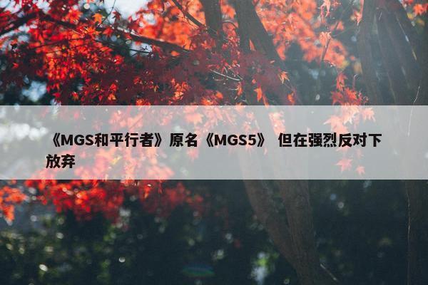 《MGS和平行者》原名《MGS5》 但在强烈反对下放弃