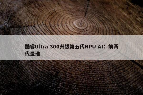 酷睿Ultra 300升级第五代NPU AI：前两代是谁_