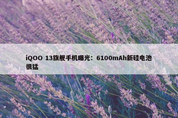 iQOO 13旗舰手机曝光：6100mAh新硅电池很猛