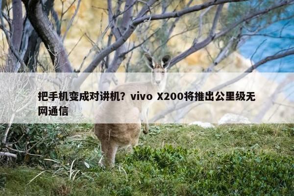 把手机变成对讲机？vivo X200将推出公里级无网通信