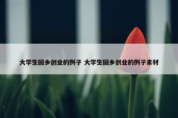 大学生回乡创业的例子 大学生回乡创业的例子素材