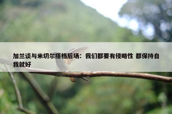 加兰谈与米切尔搭档后场：我们都要有侵略性 都保持自我就好