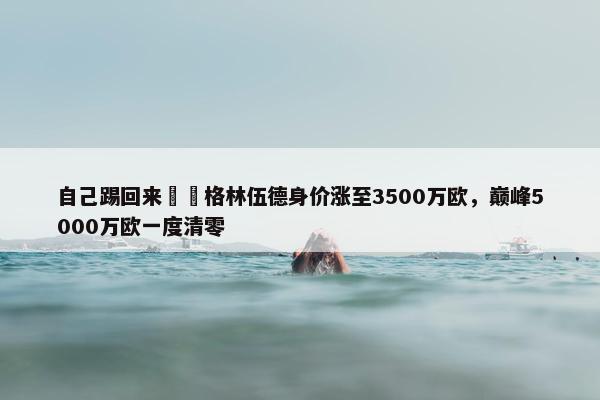 自己踢回来❗️格林伍德身价涨至3500万欧，巅峰5000万欧一度清零