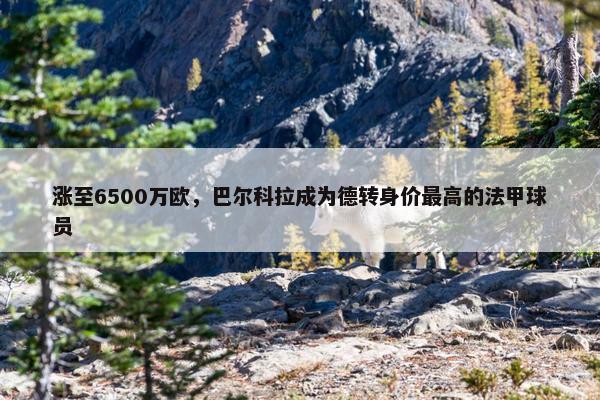 涨至6500万欧，巴尔科拉成为德转身价最高的法甲球员