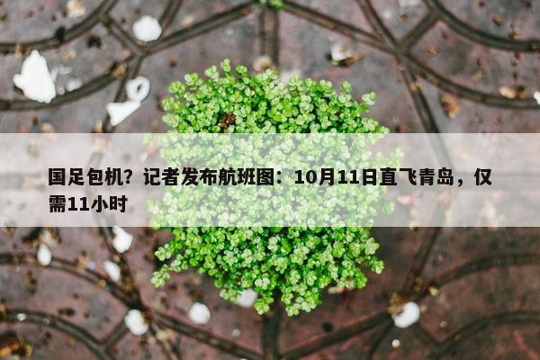 国足包机？记者发布航班图：10月11日直飞青岛，仅需11小时