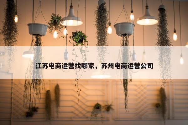 江苏电商运营找哪家，苏州电商运营公司