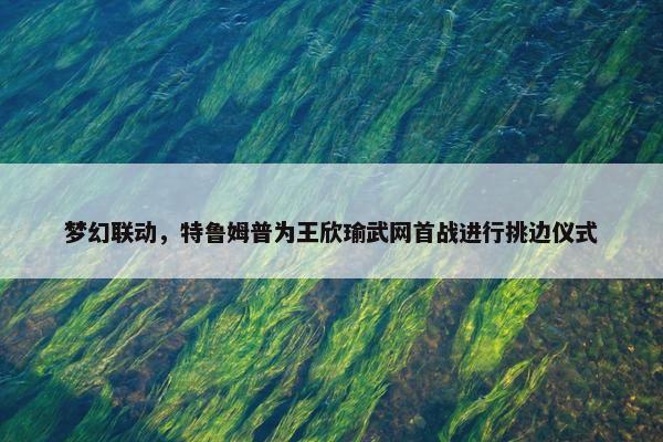 梦幻联动，特鲁姆普为王欣瑜武网首战进行挑边仪式