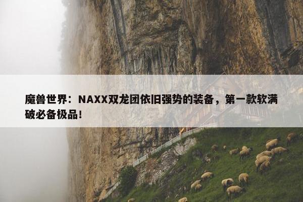 魔兽世界：NAXX双龙团依旧强势的装备，第一款软满破必备极品！