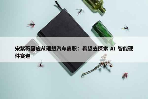 宋紫薇回应从理想汽车离职：希望去探索 AI 智能硬件赛道