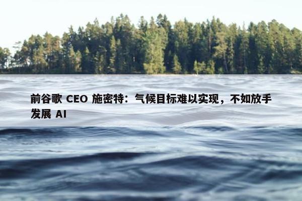 前谷歌 CEO 施密特：气候目标难以实现，不如放手发展 AI