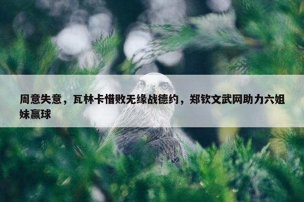 周意失意，瓦林卡惜败无缘战德约，郑钦文武网助力六姐妹赢球