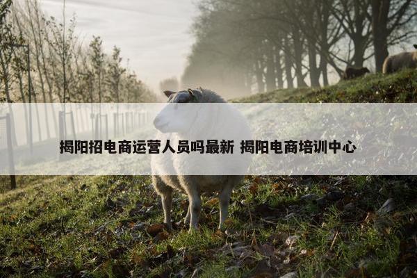 揭阳招电商运营人员吗最新 揭阳电商培训中心