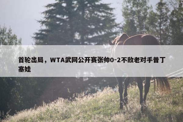 首轮出局，WTA武网公开赛张帅0-2不敌老对手普丁塞娃