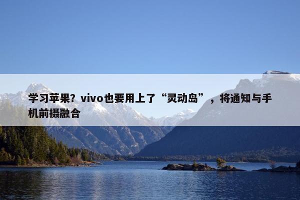 学习苹果？vivo也要用上了“灵动岛”，将通知与手机前摄融合