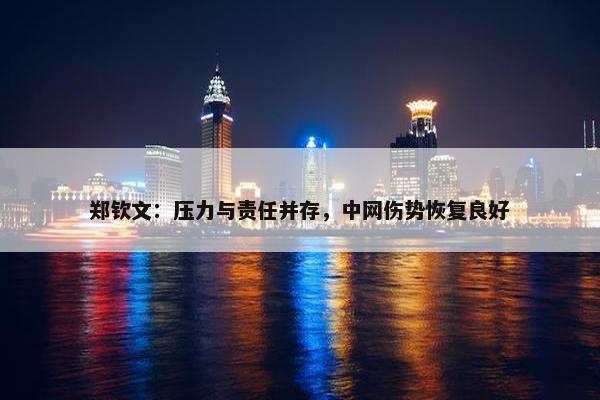 郑钦文：压力与责任并存，中网伤势恢复良好