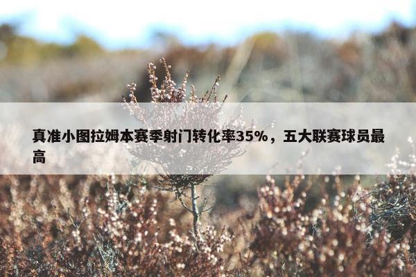 真准小图拉姆本赛季射门转化率35%，五大联赛球员最高