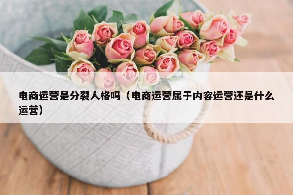 电商运营是分裂人格吗（电商运营属于内容运营还是什么运营）