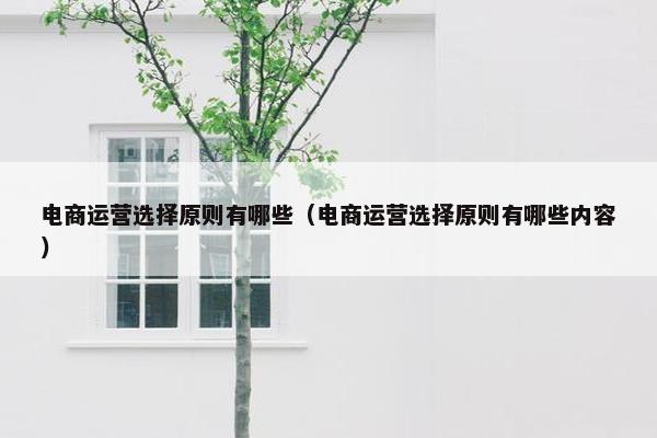 电商运营选择原则有哪些（电商运营选择原则有哪些内容）