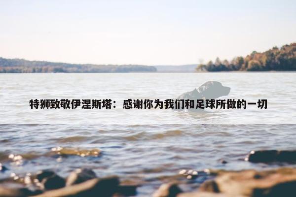 特狮致敬伊涅斯塔：感谢你为我们和足球所做的一切