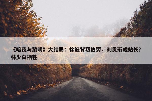 《暗夜与黎明》大结局：徐巍背叛伯劳，刘贵珩成站长？林少白牺牲