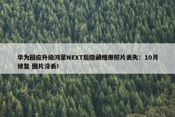 华为回应升级鸿蒙NEXT后隐藏相册照片丢失：10月修复 图片没丢！