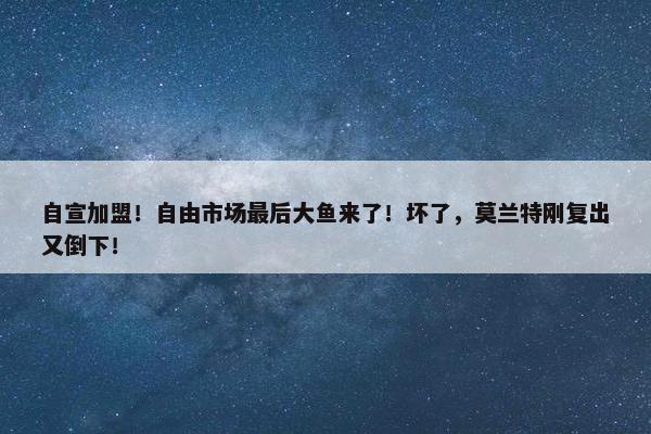 自宣加盟！自由市场最后大鱼来了！坏了，莫兰特刚复出又倒下！