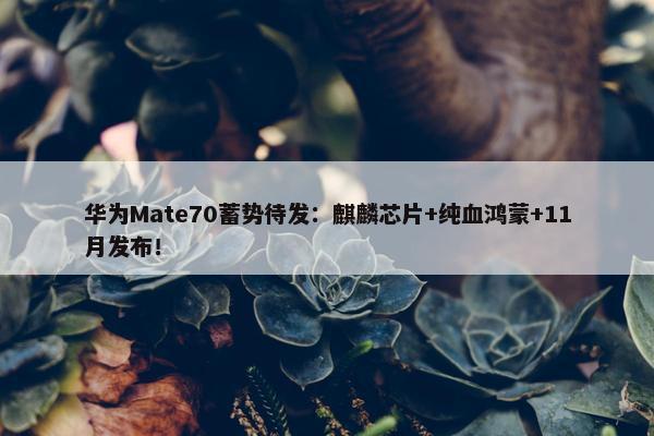 华为Mate70蓄势待发：麒麟芯片+纯血鸿蒙+11月发布！