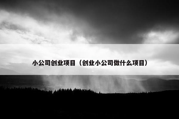 小公司创业项目（创业小公司做什么项目）