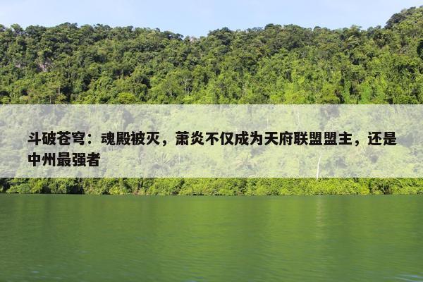 斗破苍穹：魂殿被灭，萧炎不仅成为天府联盟盟主，还是中州最强者