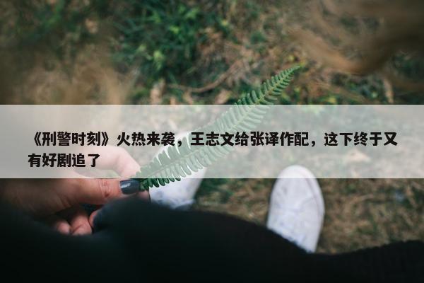 《刑警时刻》火热来袭，王志文给张译作配，这下终于又有好剧追了