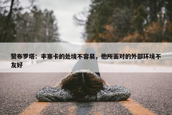 赞布罗塔：丰塞卡的处境不容易，他所面对的外部环境不友好