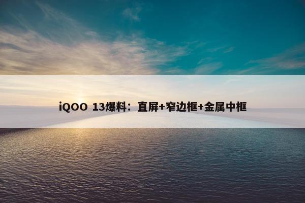 iQOO 13爆料：直屏+窄边框+金属中框