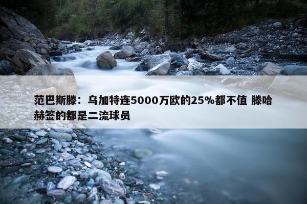 范巴斯滕：乌加特连5000万欧的25%都不值 滕哈赫签的都是二流球员