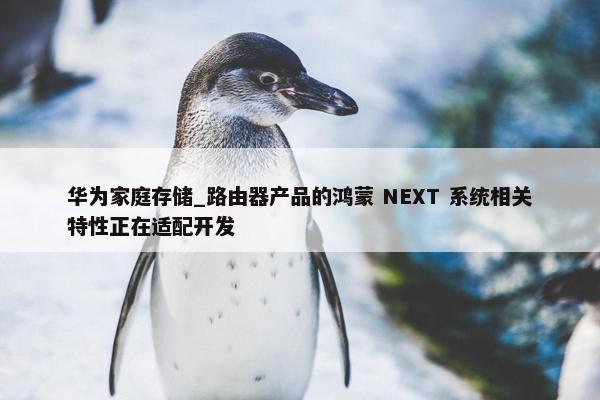 华为家庭存储_路由器产品的鸿蒙 NEXT 系统相关特性正在适配开发