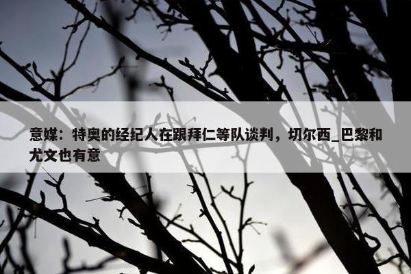 意媒：特奥的经纪人在跟拜仁等队谈判，切尔西_巴黎和尤文也有意