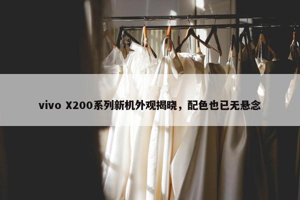 vivo X200系列新机外观揭晓，配色也已无悬念