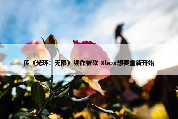 传《光环：无限》续作被砍 Xbox想要重新开始