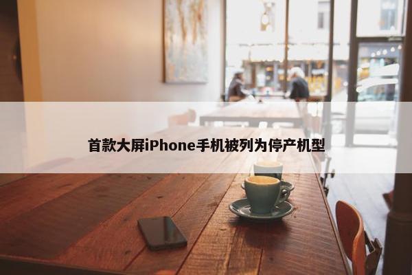 首款大屏iPhone手机被列为停产机型