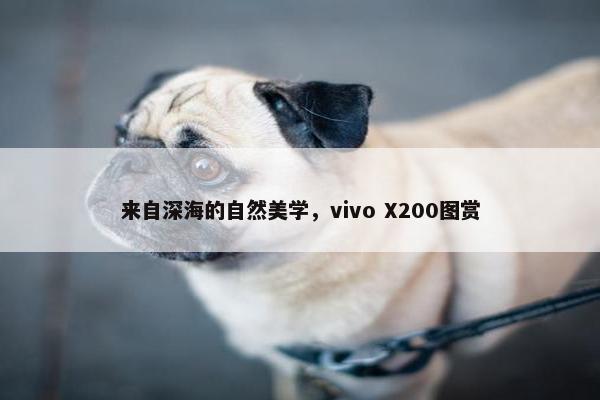 来自深海的自然美学，vivo X200图赏