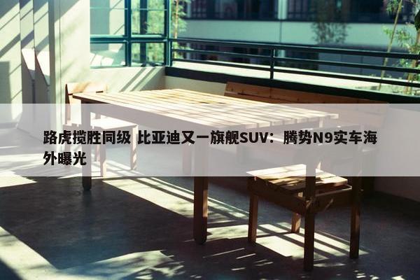 路虎揽胜同级 比亚迪又一旗舰SUV：腾势N9实车海外曝光