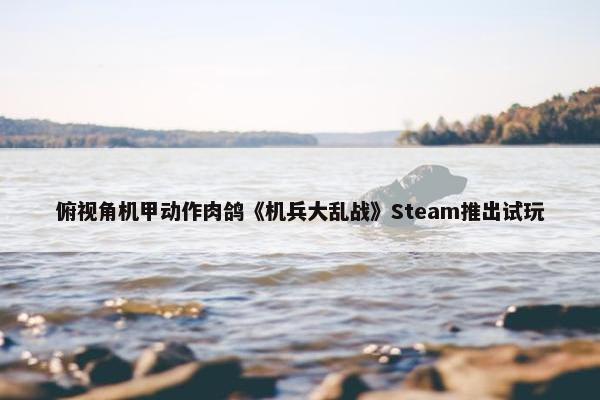 俯视角机甲动作肉鸽《机兵大乱战》Steam推出试玩