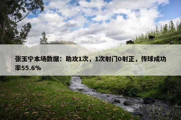 张玉宁本场数据：助攻1次，1次射门0射正，传球成功率55.6%