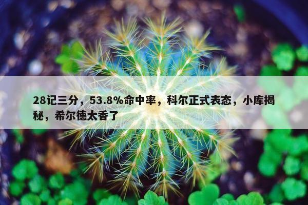 28记三分，53.8%命中率，科尔正式表态，小库揭秘，希尔德太香了