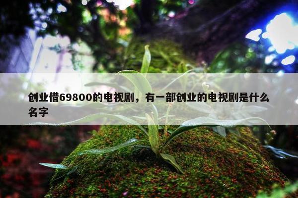 创业借69800的电视剧，有一部创业的电视剧是什么名字