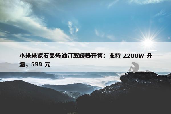 小米米家石墨烯油汀取暖器开售：支持 2200W 升温，599 元