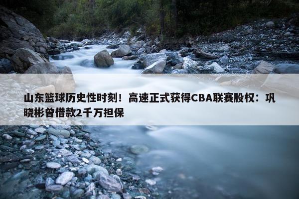 山东篮球历史性时刻！高速正式获得CBA联赛股权：巩晓彬曾借款2千万担保