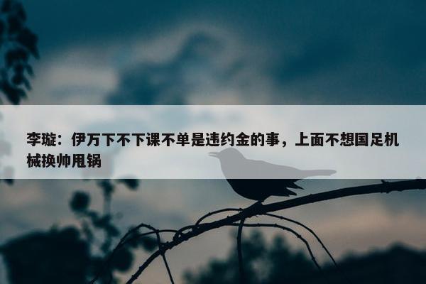 李璇：伊万下不下课不单是违约金的事，上面不想国足机械换帅甩锅