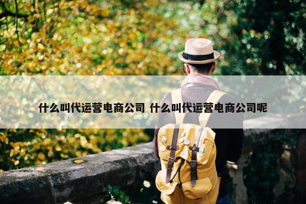 什么叫代运营电商公司 什么叫代运营电商公司呢