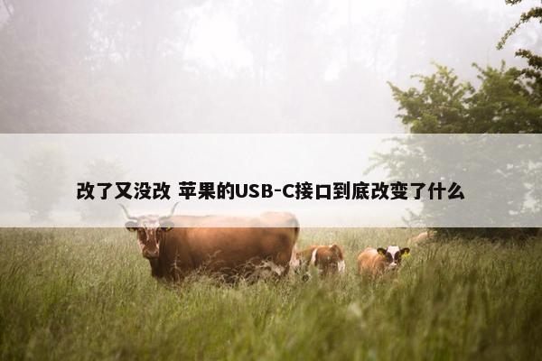 改了又没改 苹果的USB-C接口到底改变了什么