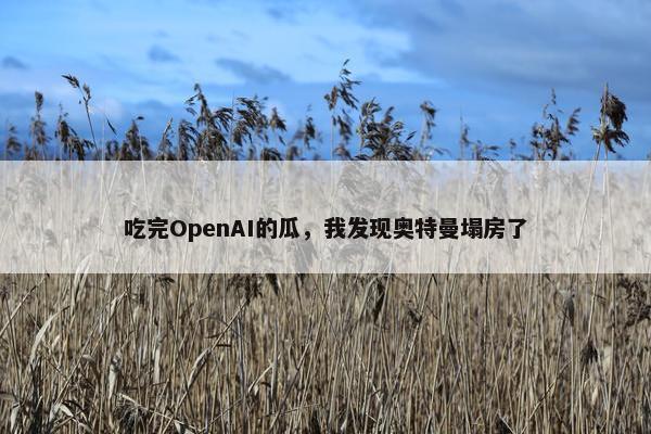 吃完OpenAI的瓜，我发现奥特曼塌房了